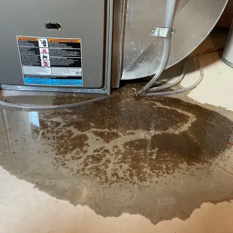 Appliance Leak Cleanup in Gill, MA